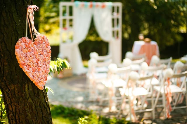 Backyard wedding celebration